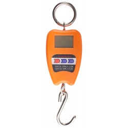 Digital scales AK-WAM016