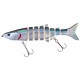 HOLO REFLEX Tabias Minnow