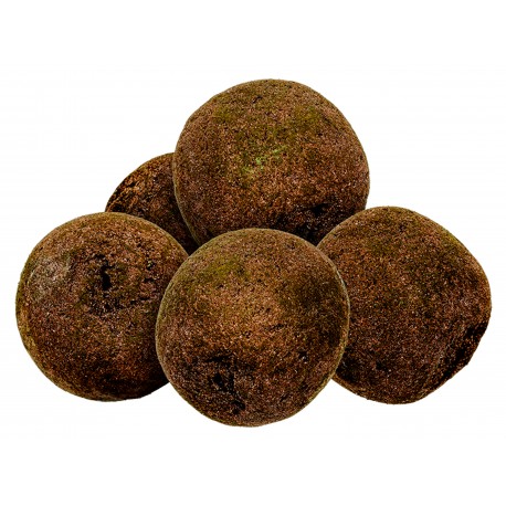 Carp Zoom Catfish Turbo Boosters 